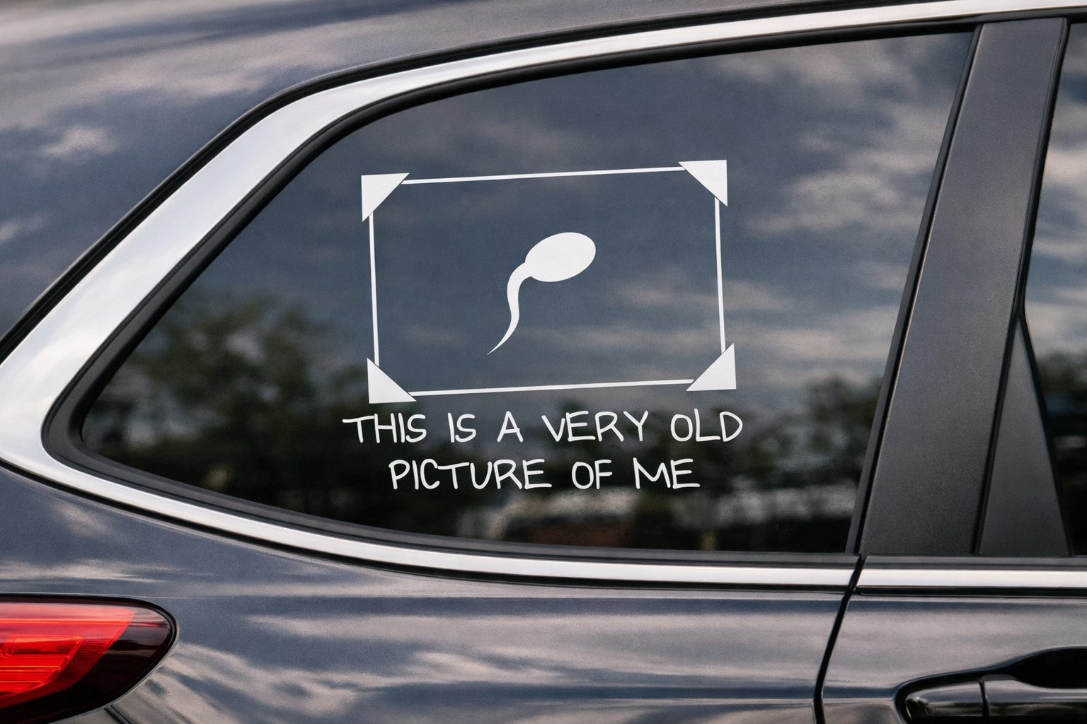 This Is A Very Old Picture Of Me Vinyl Decal