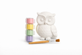 Paint your Own Woodland Animal Favor