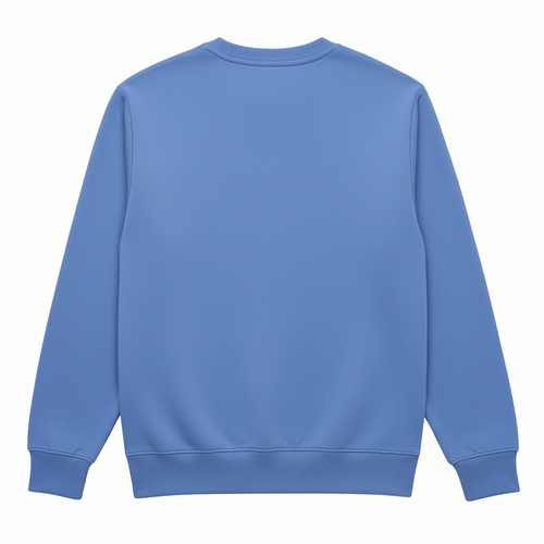 Plain blue sweatshirt
